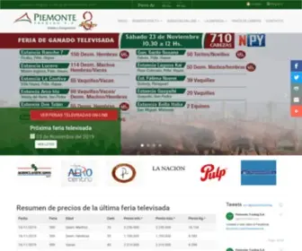 Piemonte.com.py(Piemonte Trading S.A) Screenshot