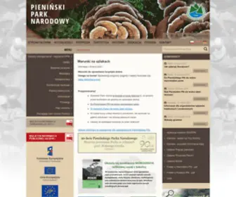 Pieninypn.pl(Strona główna) Screenshot