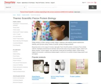 Piercenet.com(Pierce Protein Biology) Screenshot