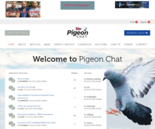 Pigeon-Chat.co.uk(Pigeon Chat) Screenshot