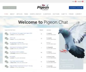 Pigeon-Chat.com(Pigeon Chat) Screenshot