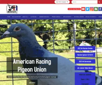 Pigeon.org(American Racing Pigeon Union) Screenshot