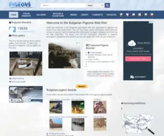 Pigeons-Birds.com(Pigeons Website) Screenshot