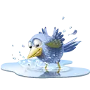 Pigeonsmanager.com Logo