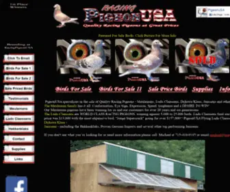 Pigeonusa.com(Racing Pigeons For Sale) Screenshot