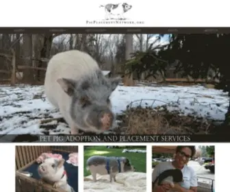 Pigplacementnetwork.org(Pig Placement Network) Screenshot