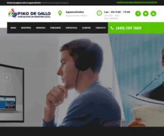 Pikodegallo.com(DISEÑO DE PAGINAS WEB EN AGUASCALIENTES) Screenshot