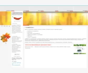 Pimentos.com.ua(Профессиональная РАЗРАБОТКА и ПРОДВИЖЕНИЕ САЙТОВ) Screenshot