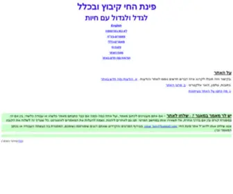 Pinat-Hay.com(אתר) Screenshot