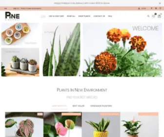 Pine.sg(Pine SG) Screenshot