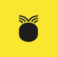 Pineapple.net.au Favicon
