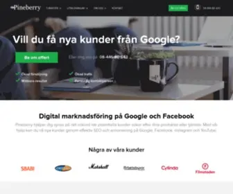 Pineberry.com(Datadriven marknadsföring på Google & Facebook) Screenshot