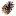 Pineconecomputing.com Favicon