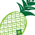 Pineytechnical.com Favicon