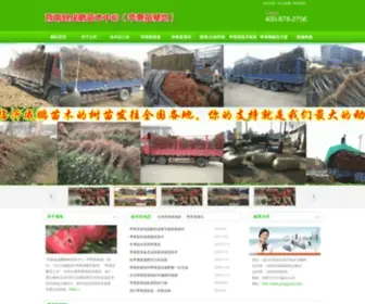 Pingguojd.com(苹果苗) Screenshot