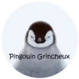 Pingouin-Grincheux.net Favicon