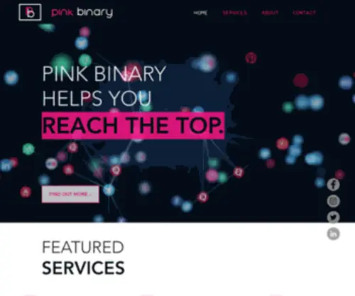 Pinkbinary.com(Pink Binary Inc) Screenshot