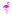 Pinkflamingofitness.com Favicon