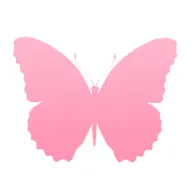 Pinkflirt.de Favicon