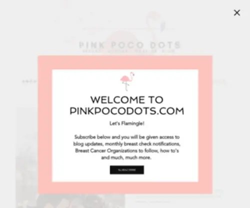 Pinkpocodots.com(Pinkpocodots) Screenshot