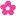 Pinkpoppy-USA.com Favicon