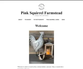 Pinksquirrelfarmstead.com(Cooking, Crafts, and Chickens) Screenshot