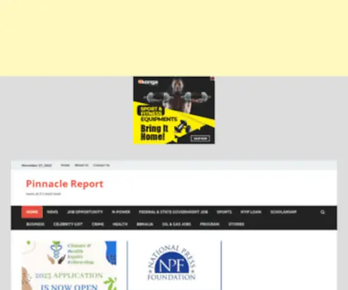 Pinnaclereport.com.ng(Pinnacle Report) Screenshot