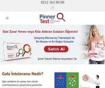 Pinnertestturkiye.com(PinnerTest T) Screenshot