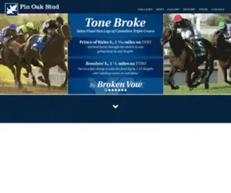 Pinoakstud.com(Pin Oak Stud) Screenshot