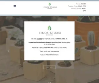 Pinokstudio.com(Book Us) Screenshot