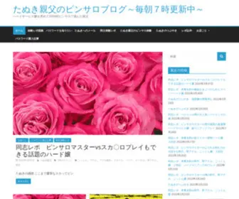 Pinsaroblog.net(たぬき親父のピンサロブログ) Screenshot