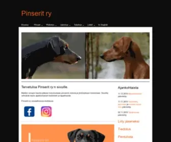 Pinserit.fi(Pinserit ry) Screenshot