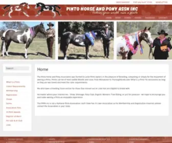 Pintohorseandponyassn.com(Pintohorseandponyassn) Screenshot