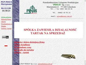 Pinus.com.pl(Strona PUP "PINUS" Sp) Screenshot