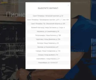 Pioneer-Service.ru(Ремонт бытовой техники и электроники) Screenshot