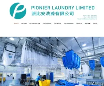 Pionierlaundry.com(Pionier Laundry Limited) Screenshot