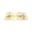 Pionniersdudigital.fr Favicon