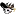 Pirateshowcancun.com Logo