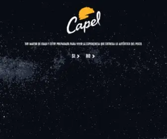 Piscocapel.cl(Pisco) Screenshot