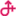 Piteramur.com Logo