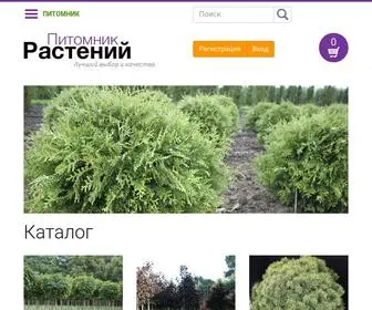 Pitomnik-Tambov.ru(Питомник растений в Тамбове) Screenshot