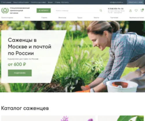 Pitomnik1.ru(Саженцы) Screenshot