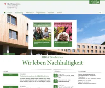 Pitzelstaetten.at(Wir) Screenshot