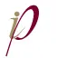 Piweb.ca Logo