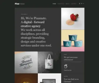 Pixamate.com(Graphic & Web Design Agency) Screenshot