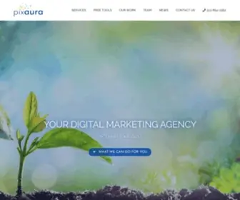 Pixaura.com(Digital Marketing Agency) Screenshot