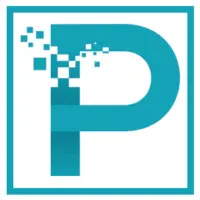 Pixelnet.in Favicon