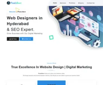 Pixelsborn.com(Freelance Web Designer in Hyderabad) Screenshot