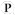 Pizap.com Logo