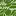 Pizzanova.com Favicon
